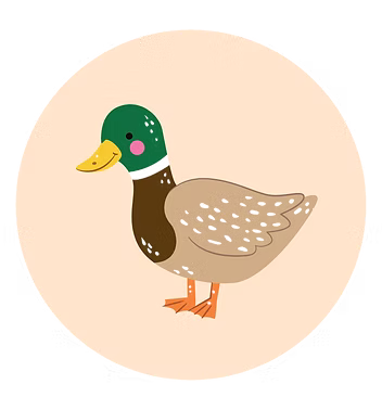 PATOS_edited